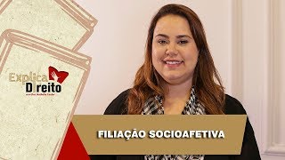 Explica Direito Filiação Socioafetiva  2019 [upl. by Eula]